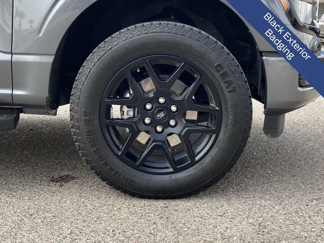 Certified 2024 Ford F150 STX w/ STX Black Appearance Package AWD/4WD image 12