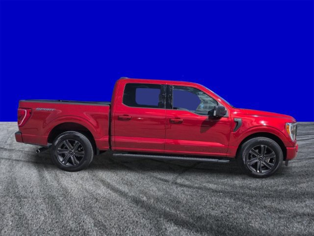 Certified 2023 Ford F150 XLT w/ Equipment Group 302A High RWD image 3