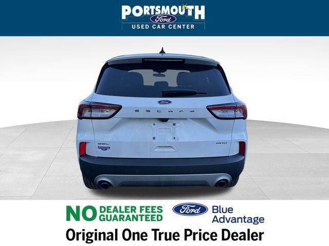 Certified 2022 Ford Escape SEL image 4