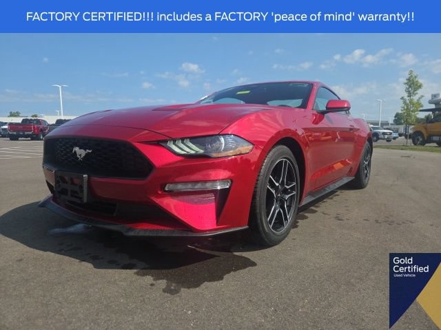 Certified 2023 Ford Mustang Coupe w/ Equipment Group 101A RWD image 2