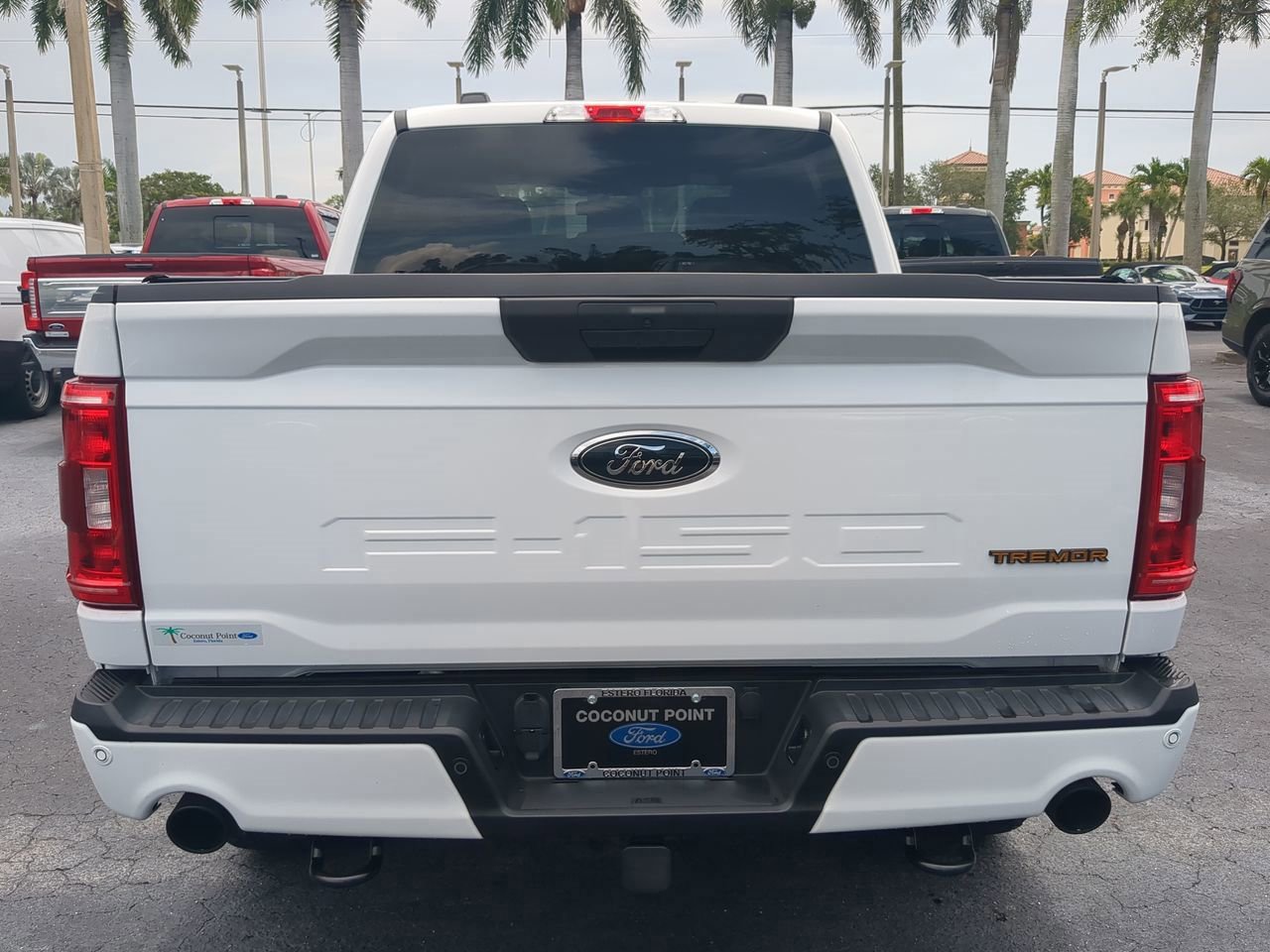 Certified 2021 Ford F150 Tremor image 4