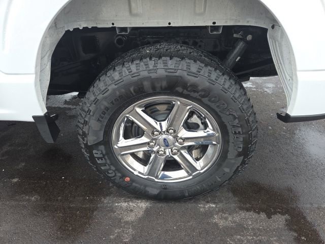 Certified 2025 Ford F150 XLT w/ Equipment Group 301A Standard image 14