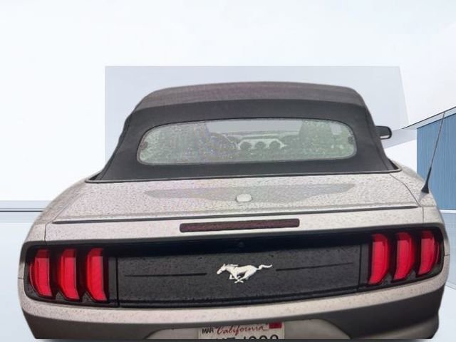 Certified 2023 Ford Mustang Premium image 7