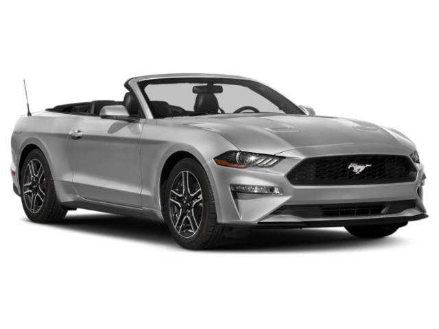 Certified 2021 Ford Mustang Premium RWD image 6