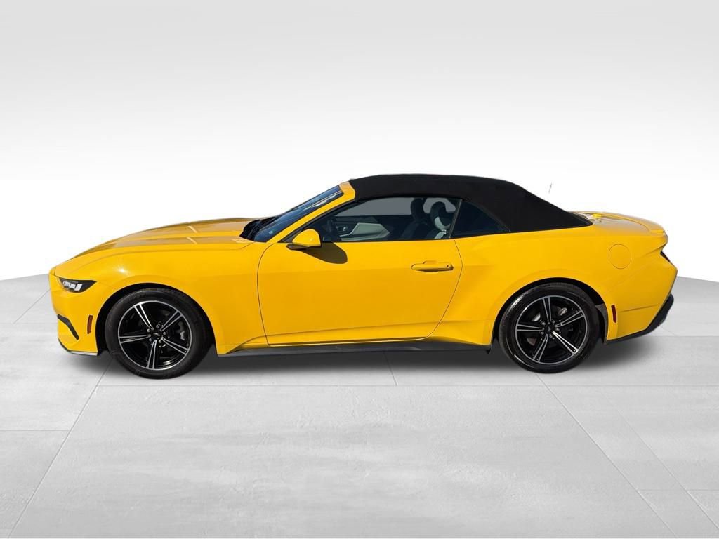 Certified 2024 Ford Mustang Premium image 3