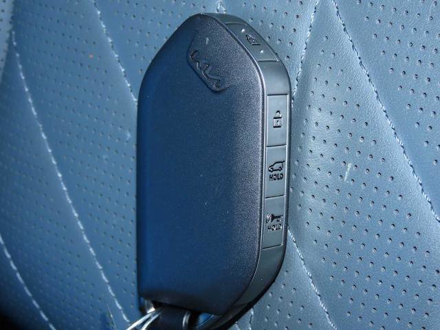 Used 2024 Kia Telluride SX Prestige X-Pro image 34