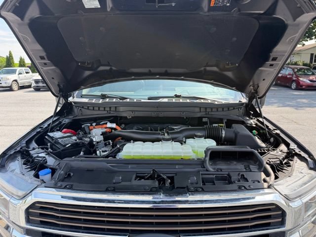 Certified 2025 Ford F150 King Ranch AWD/4WD image 22
