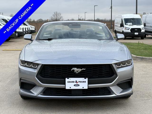 Certified 2024 Ford Mustang Premium image 6