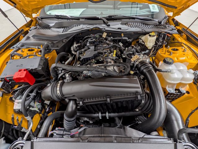 Certified 2026 Ford Mustang Premium w/ Mustang Nite Pony Package RWD image 24