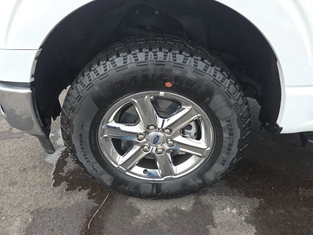 Certified 2025 Ford F150 XLT w/ Equipment Group 301A Standard image 15