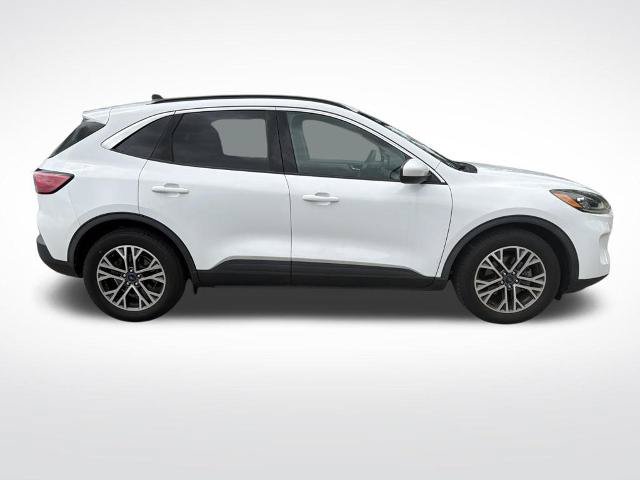 Certified 2020 Ford Escape SEL FWD image 4
