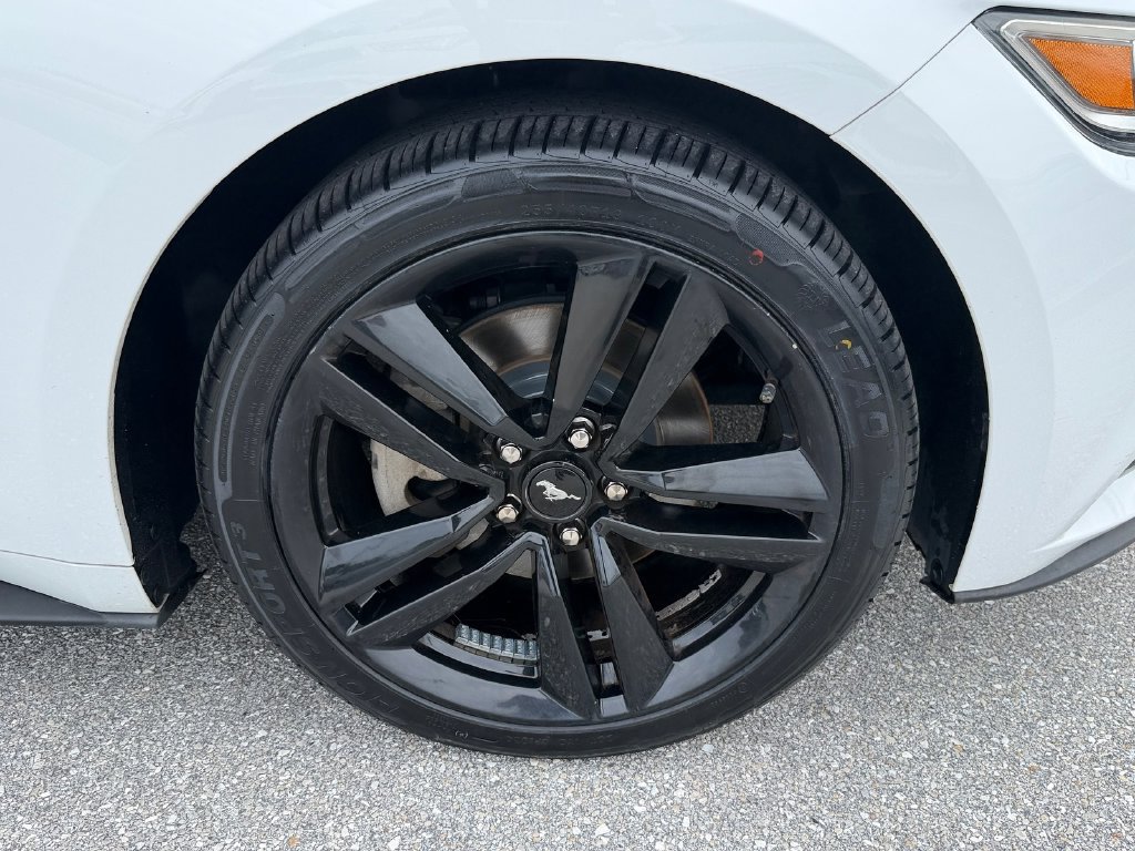 Certified 2017 Ford Mustang Premium RWD image 9