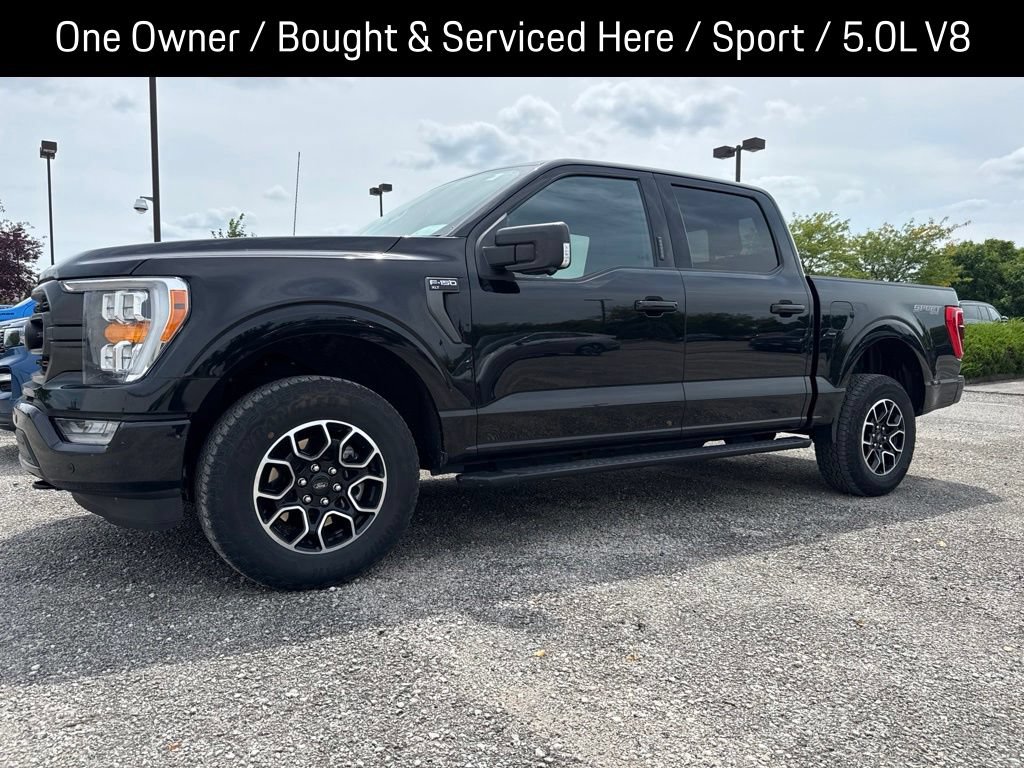 Certified 2023 Ford F150 XLT w/ Equipment Group 302A High