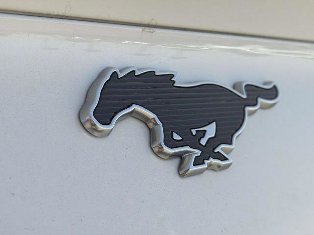 Certified 2021 Ford Mustang Mach-E Premium RWD image 9