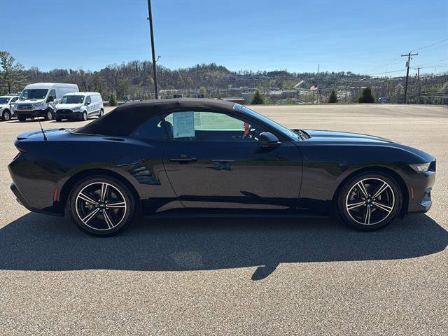 Certified 2024 Ford Mustang Premium image 6