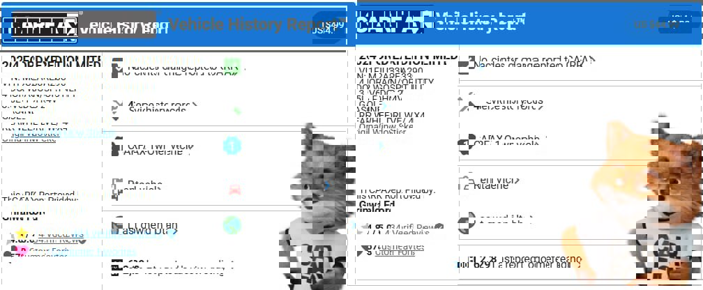 Certified 2024 Ford Expedition Limited image 2
