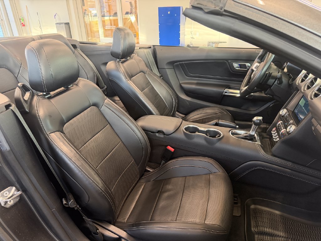 Certified 2019 Ford Mustang GT Premium w/ Equipment Group 401A RWD image 22