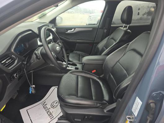 Certified 2025 Ford Escape Platinum image 5