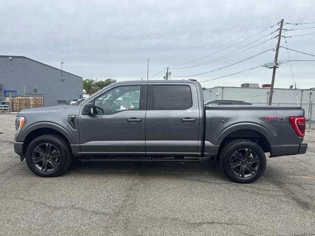 Certified 2023 Ford F150 XLT w/ Equipment Group 302A High AWD/4WD image 3