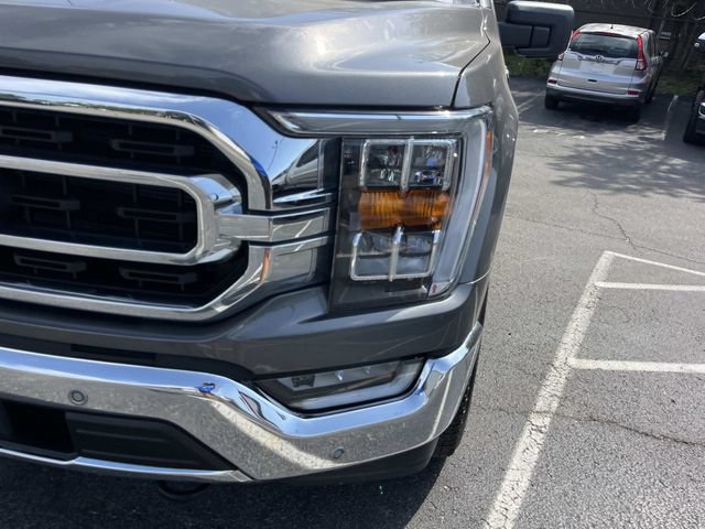 Certified 2023 Ford F150 XLT w/ Equipment Group 302A High AWD/4WD image 13