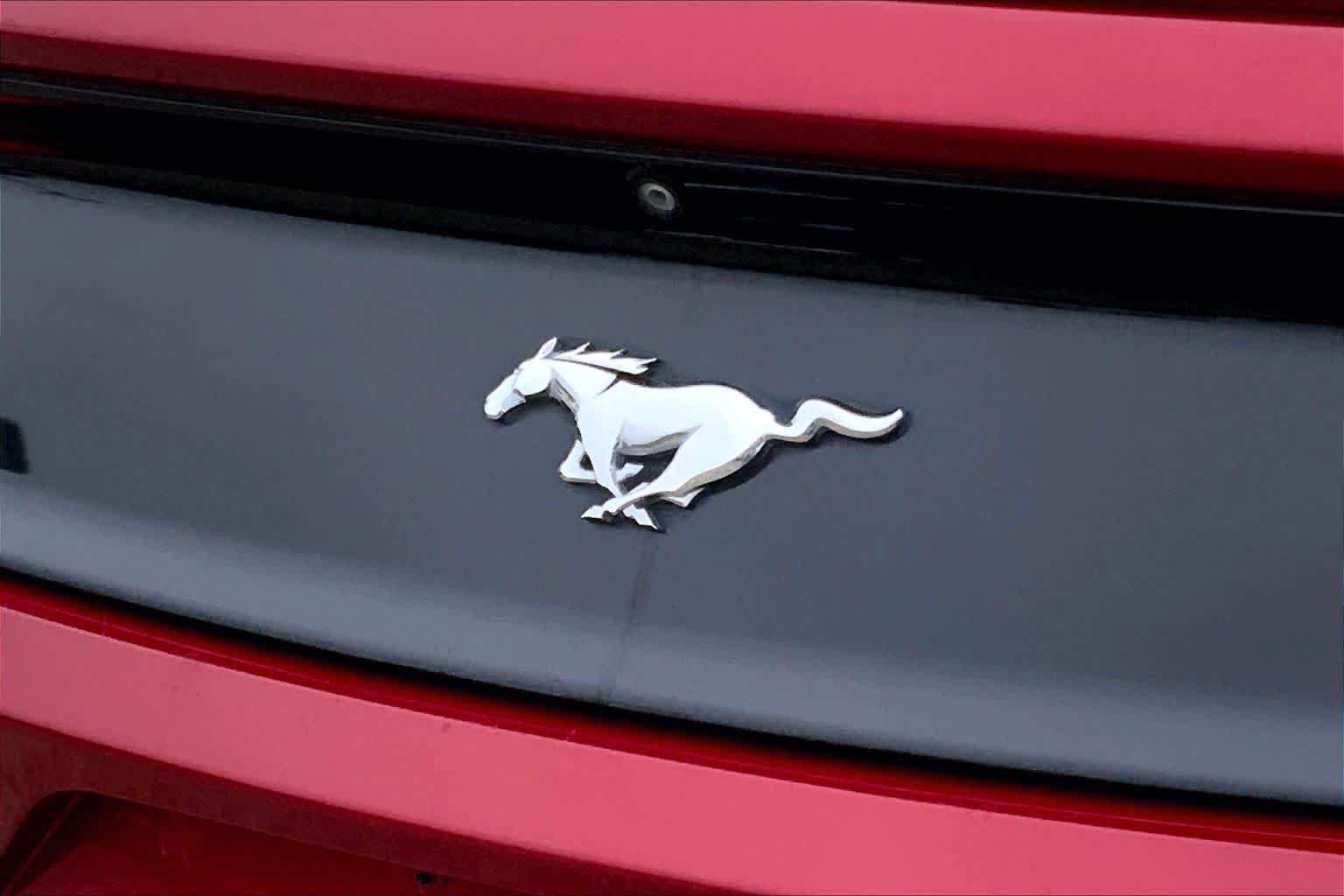 Certified 2017 Ford Mustang Coupe RWD image 24