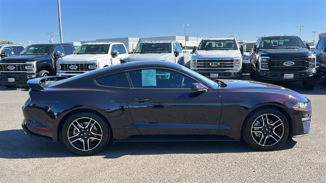 Certified 2023 Ford Mustang Coupe w/ Equipment Group 101A RWD image 2