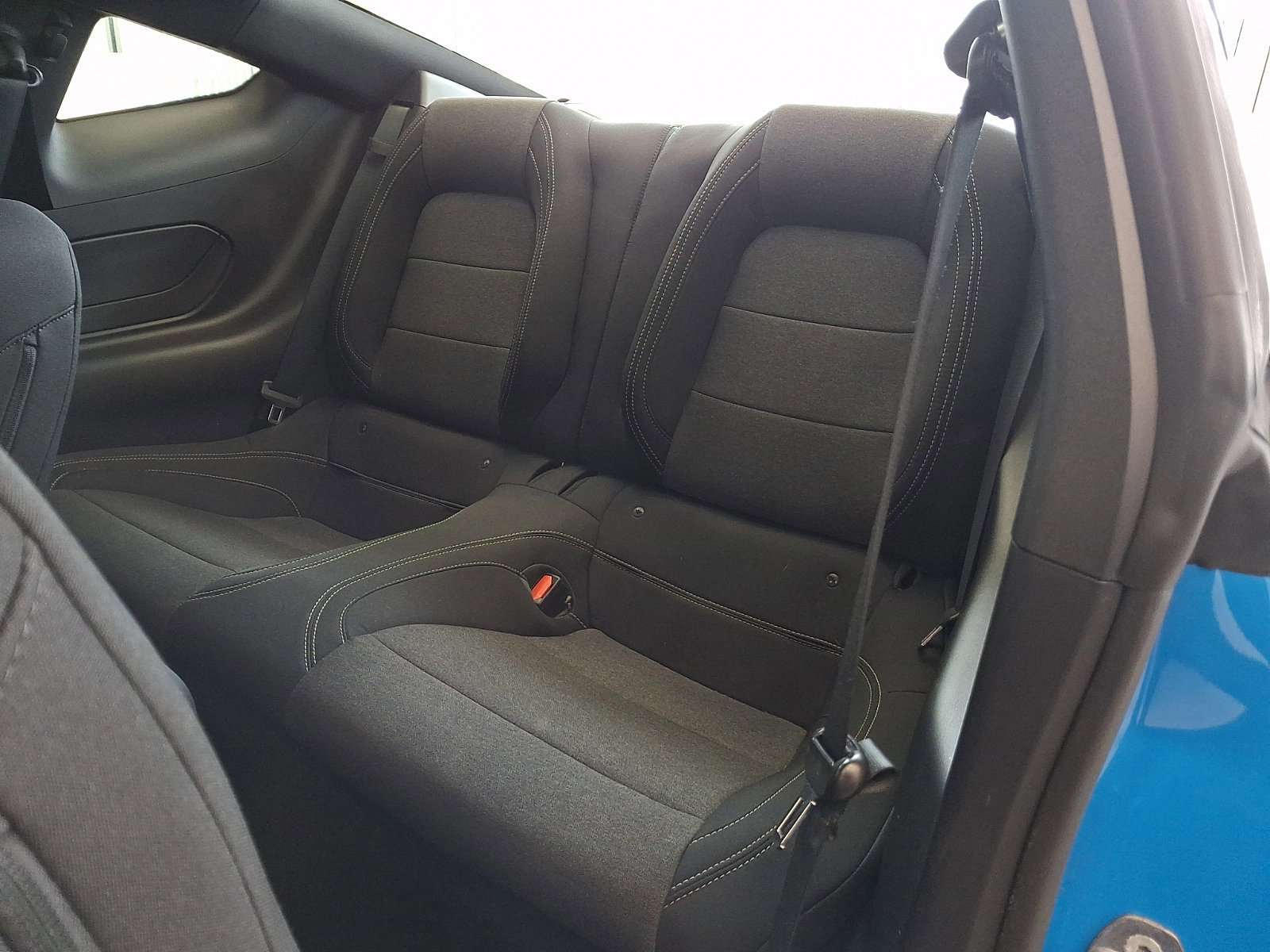 Certified 2024 Ford Mustang EcoBoost Fastback w/ Mustang Nite Pony Package image 11