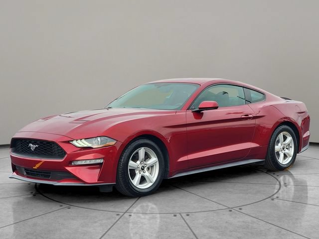 Certified 2019 Ford Mustang Coupe RWD image 3