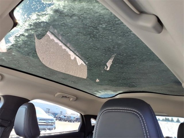 Certified 2022 Ford Mustang Mach-E California Route 1 image 14