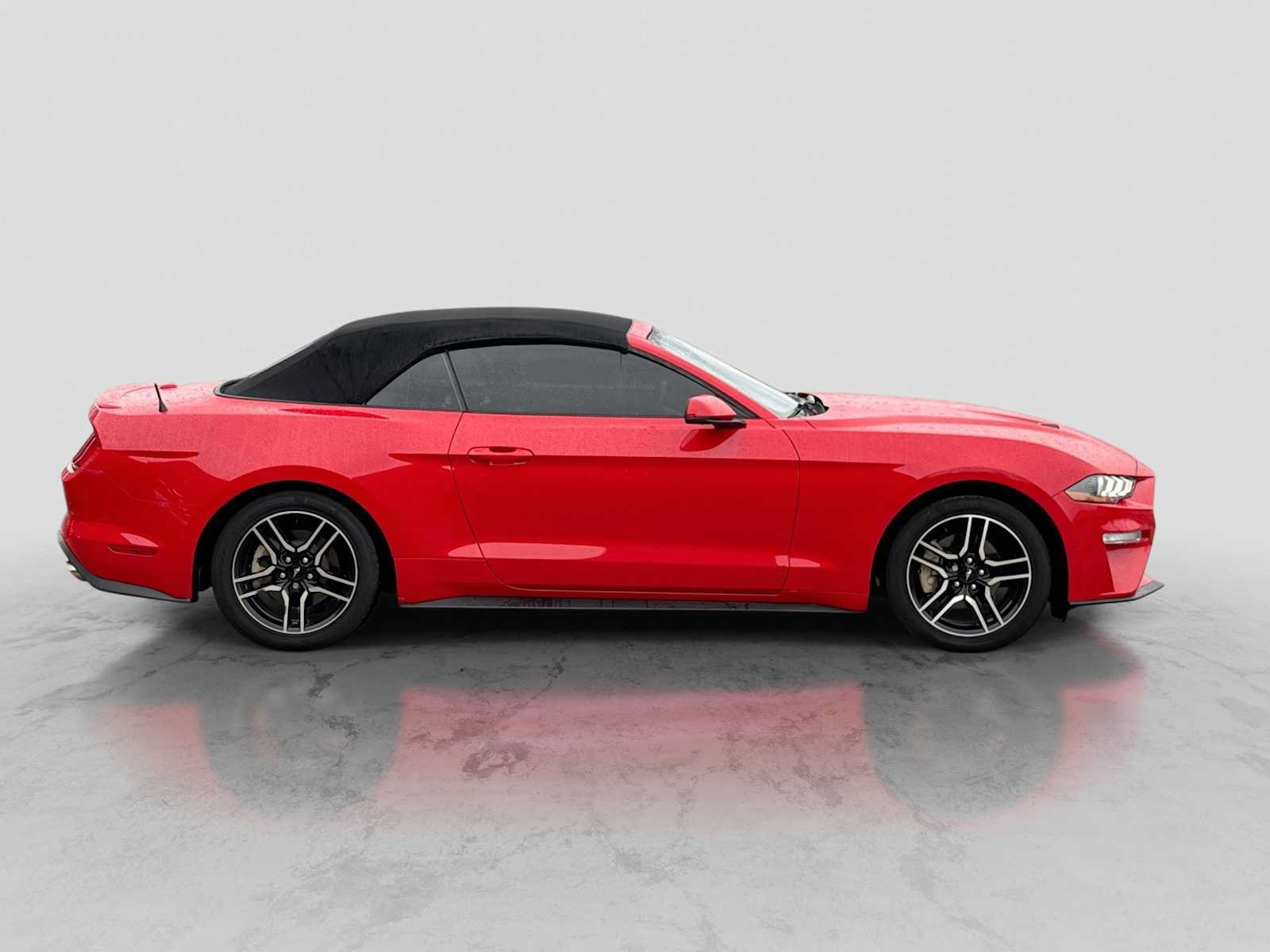 Certified 2019 Ford Mustang Premium w/ Equipment Group 201A RWD image 7