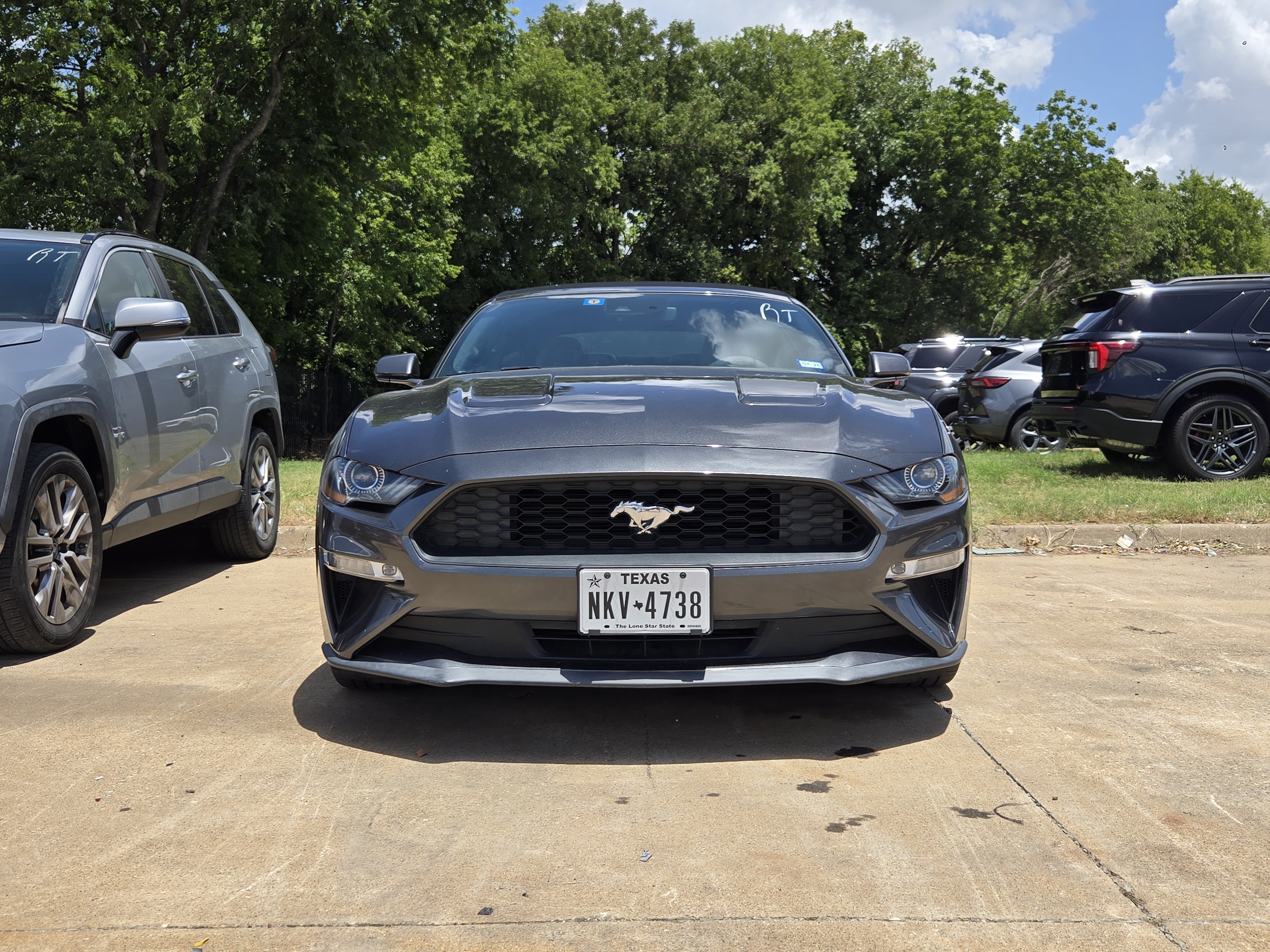 Certified 2019 Ford Mustang Premium w/ Equipment Group 201A RWD image 2