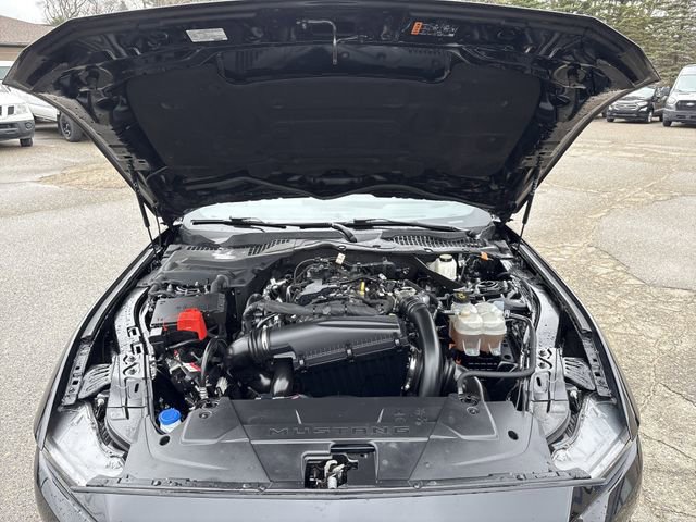 Certified 2024 Ford Mustang Premium image 27