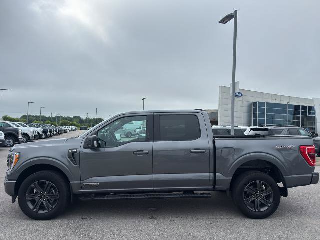 Certified 2023 Ford F150 XLT w/ Equipment Group 302A High AWD/4WD image 8