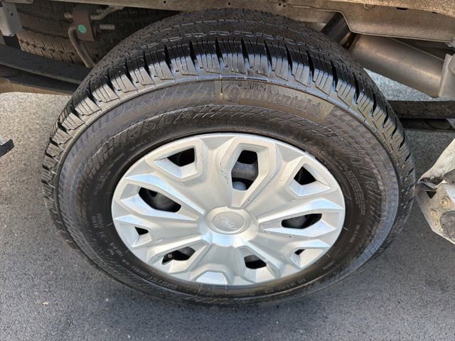 Certified 2025 Ford Transit 250 Low Roof w/ Exterior Upgrade Package RWD image 13