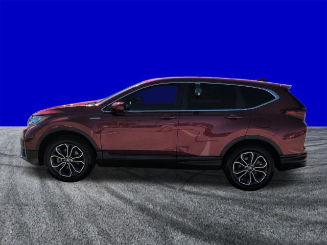 Used 2022 Honda CR-V EX-L image 7