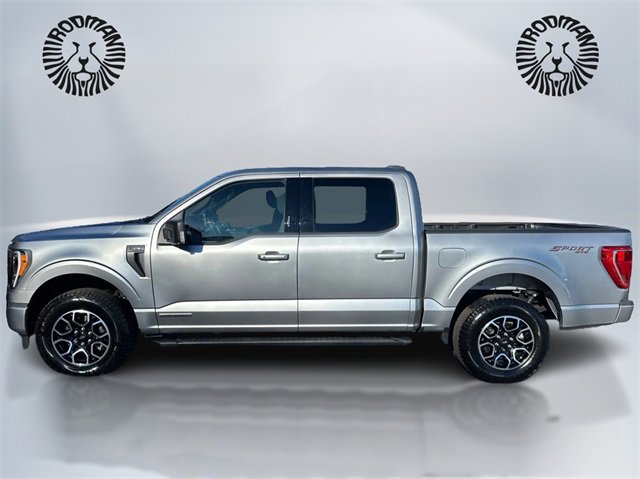 Certified 2023 Ford F150 XLT w/ Equipment Group 302A High image 8