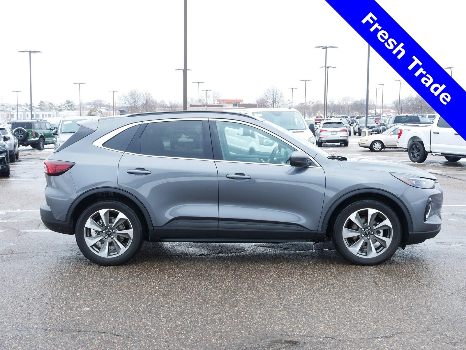 Certified 2023 Ford Escape Platinum image 6