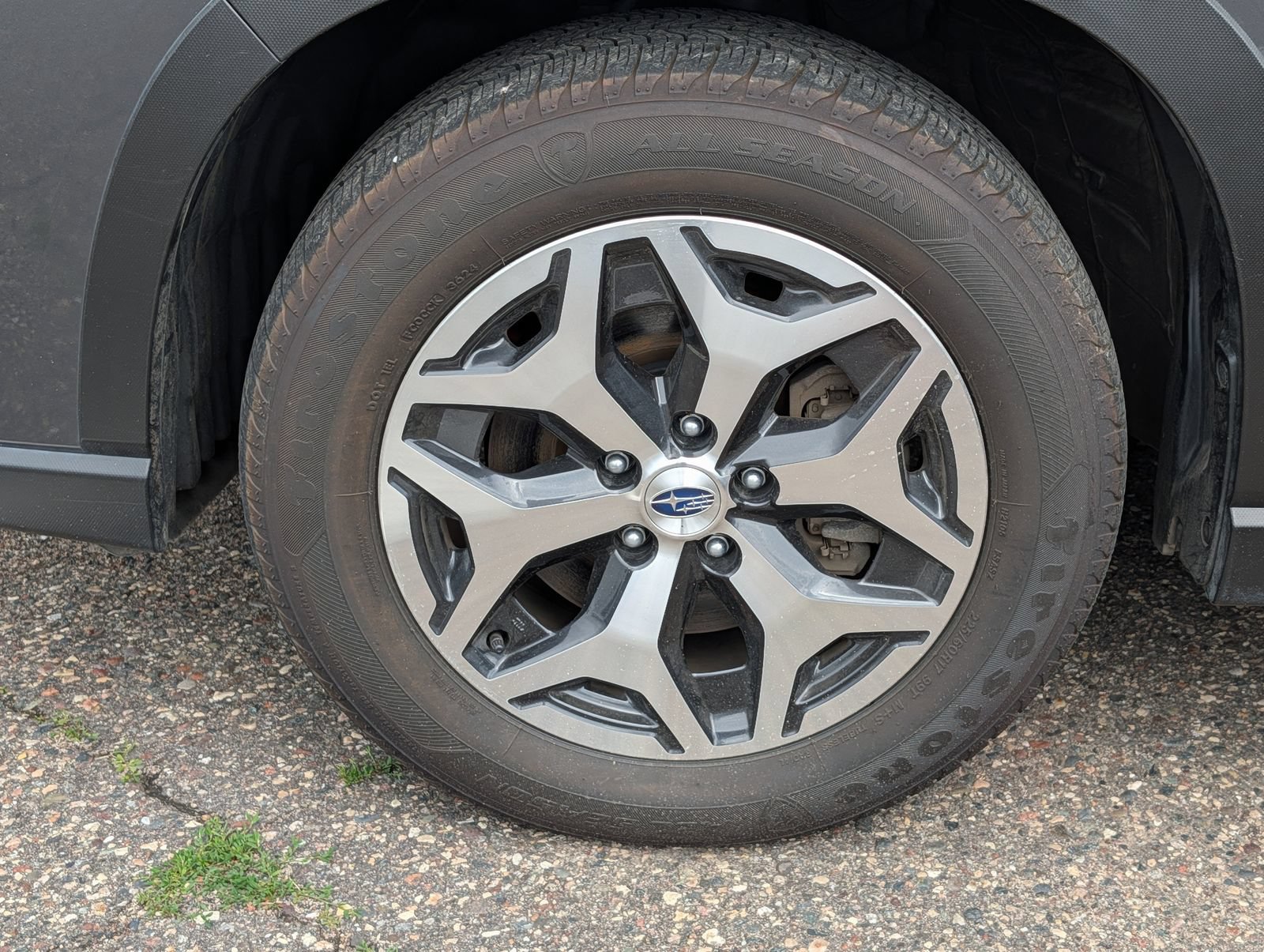 Used 2024 Subaru Forester Premium AWD/4WD image 12