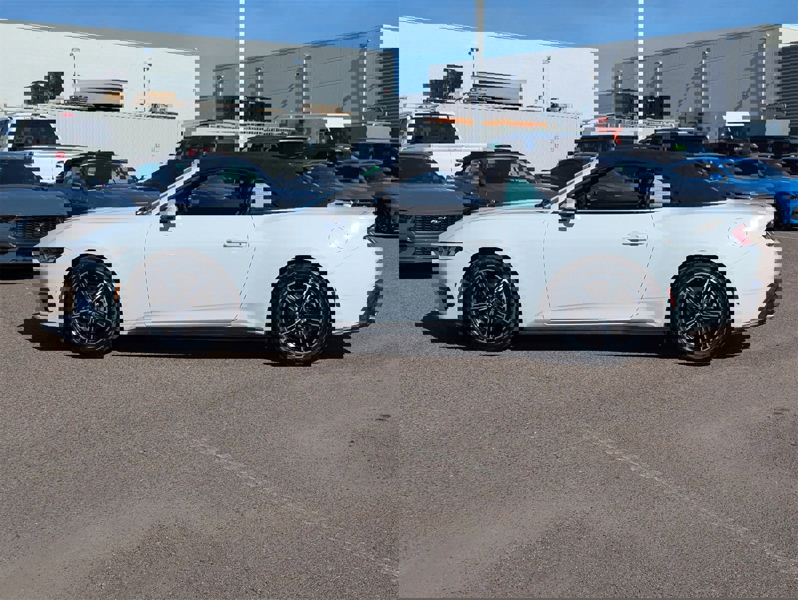 Certified 2024 Ford Mustang Premium image 2