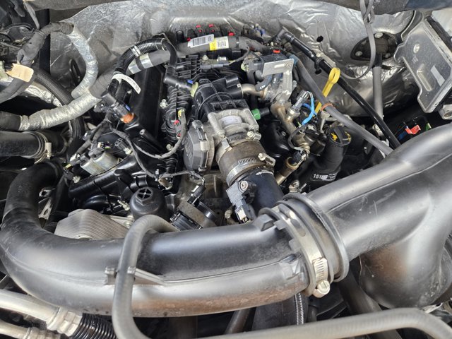 Certified 2023 Ford F150 XL w/ STX Appearance Package RWD image 31