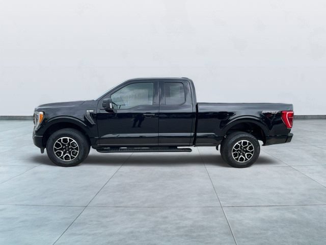 Certified 2023 Ford F150 XLT w/ Equipment Group 302A High AWD/4WD image 4
