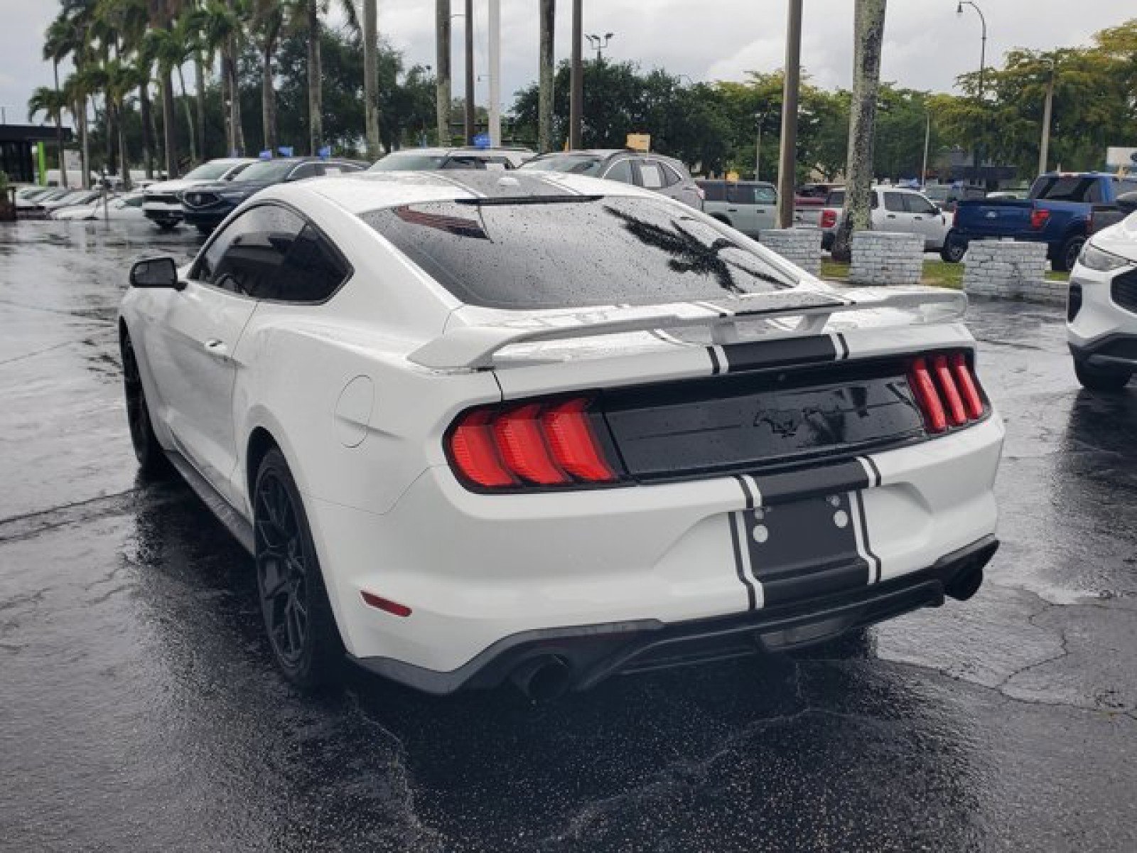 Certified 2019 Ford Mustang Coupe w/ Ecoboost Performance Package RWD image 3