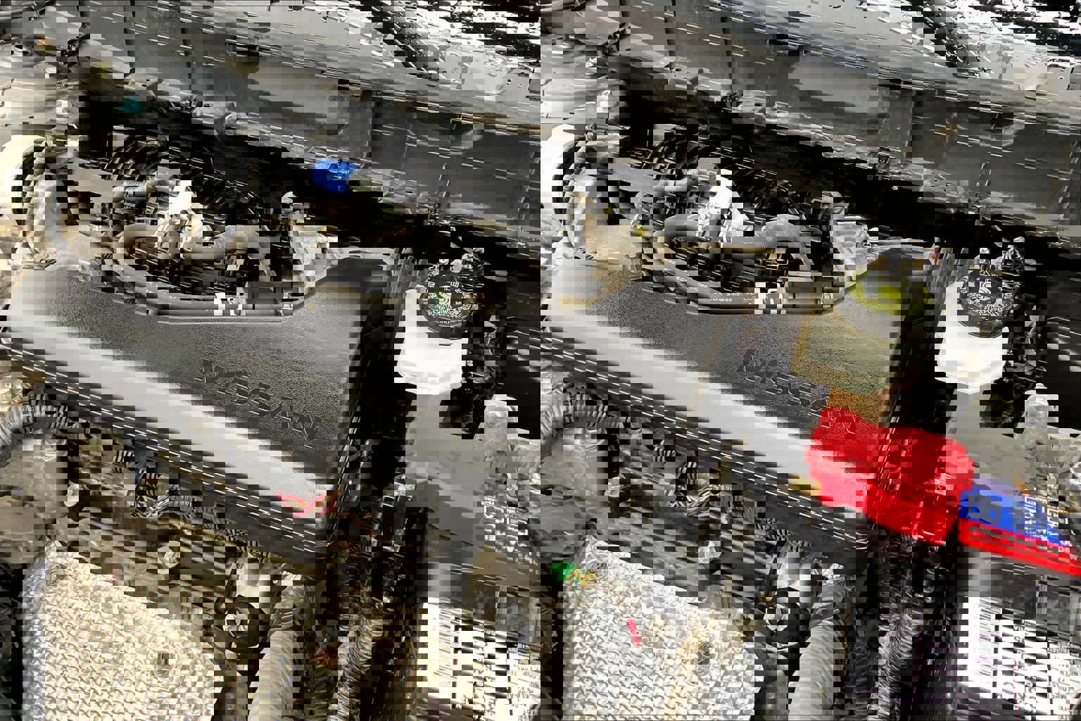 Used 2019 Nissan Rogue SV w/ Premium Package image 29