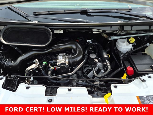 Certified 2025 Ford Transit 250 Low Roof w/ Exterior Upgrade Package RWD image 24