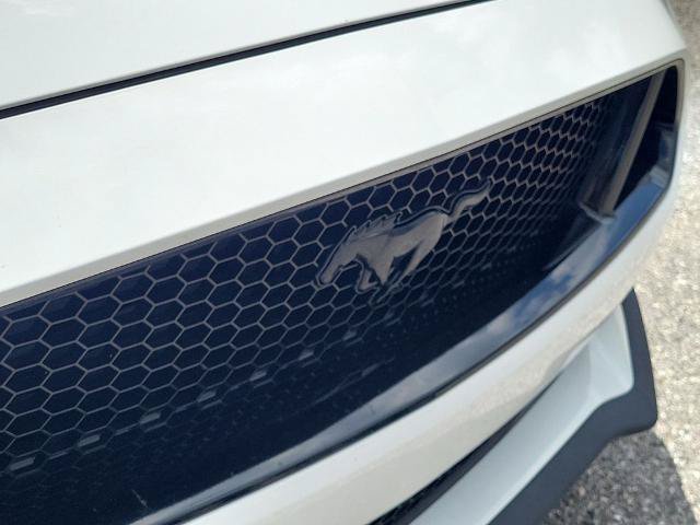 Certified 2019 Ford Mustang GT Premium w/ Black Accent Package RWD image 7