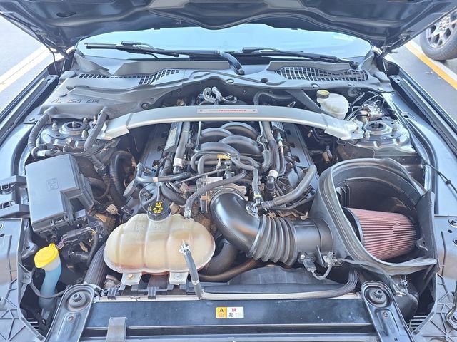 Certified 2019 Ford Mustang Shelby GT350 w/ Technology Package image 22