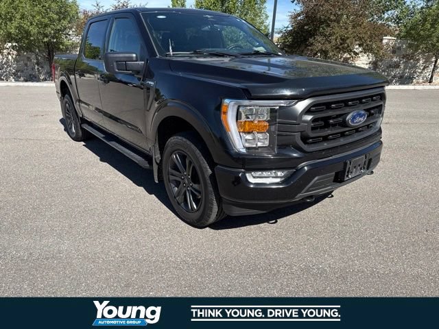 Certified 2023 Ford F150 XLT w/ Equipment Group 302A High AWD/4WD image 15