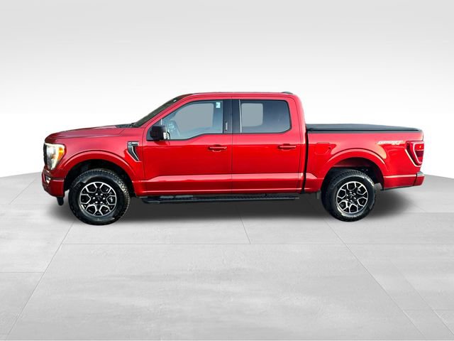 Certified 2023 Ford F150 XLT w/ Equipment Group 302A High AWD/4WD image 11
