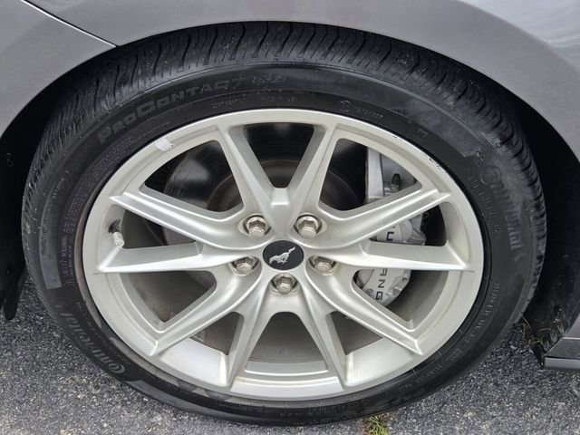 Certified 2024 Ford Mustang GT Premium RWD image 16