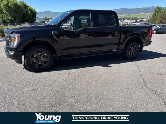 Certified 2023 Ford F150 XLT w/ Equipment Group 302A High AWD/4WD image 2